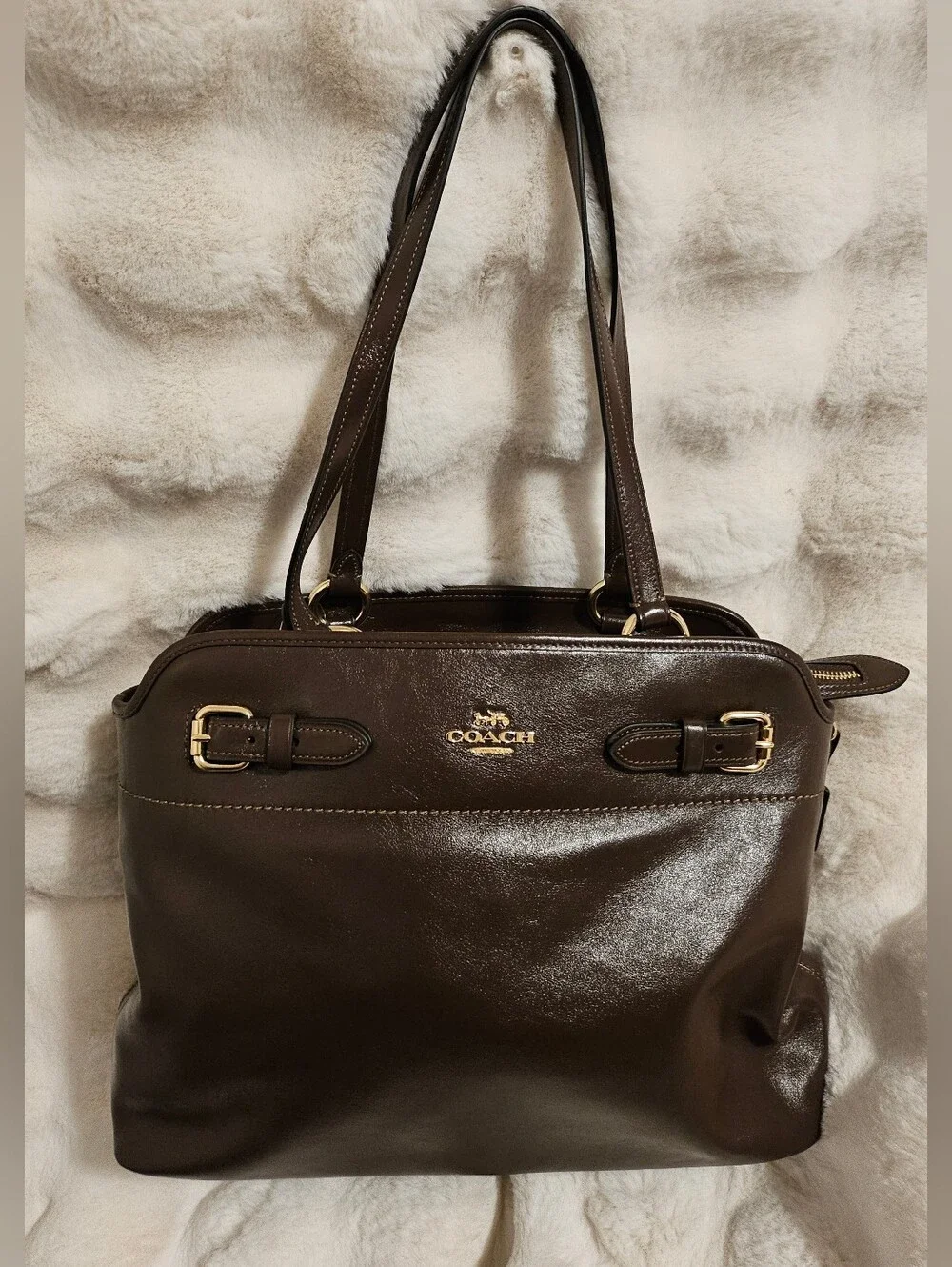 COACH Easton Tote Bag Dark Brown